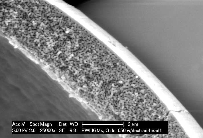 ARC Hitachi SEM micrograph of fractured PWHGM shell wall, including 3 µm scale bar